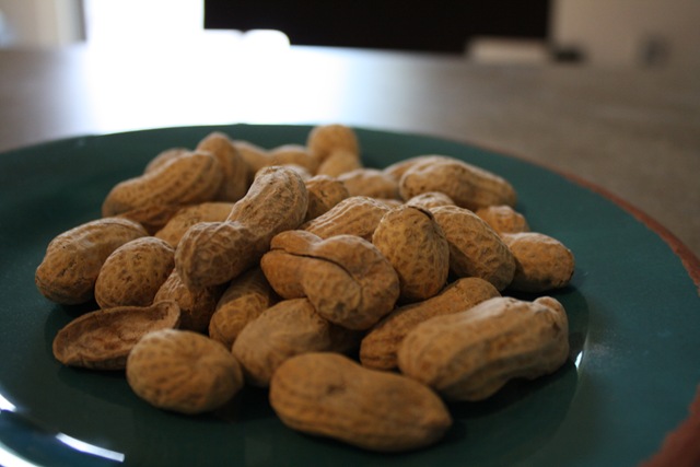 [lunch 001[4].jpg]