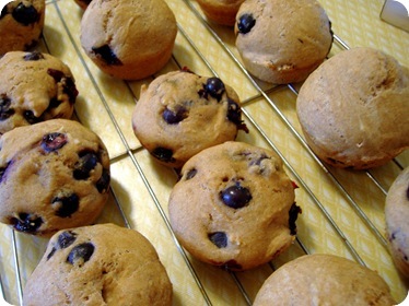 muffins