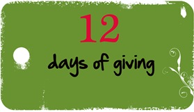 12 days of giving logo copy