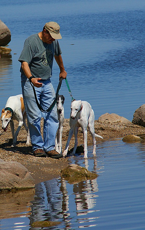 [Weekend Reflections - hounds and Bruce[9].jpg]