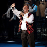 Arbore 2007
