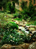 DSCN0093b.jpg