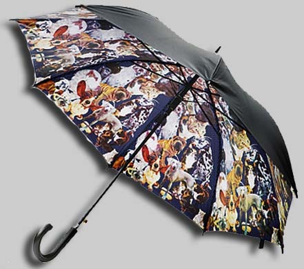 Ted-Baker-umbrella