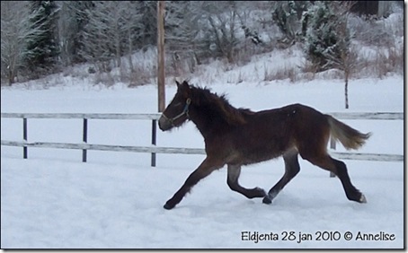 2010-28jan-ridebane_03