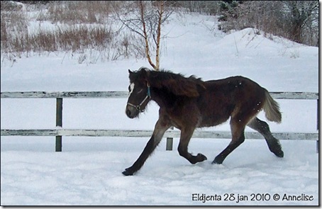 2010-28jan-ridebane_01