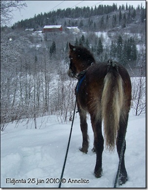 2010-28jan-tomkjore_02