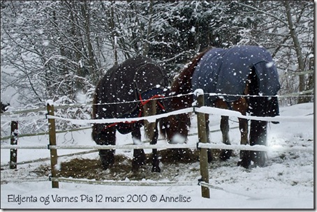 12mars2010_02 12mars2010_02
