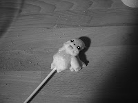PikachuLolly.jpg PikachuLolly.jpg