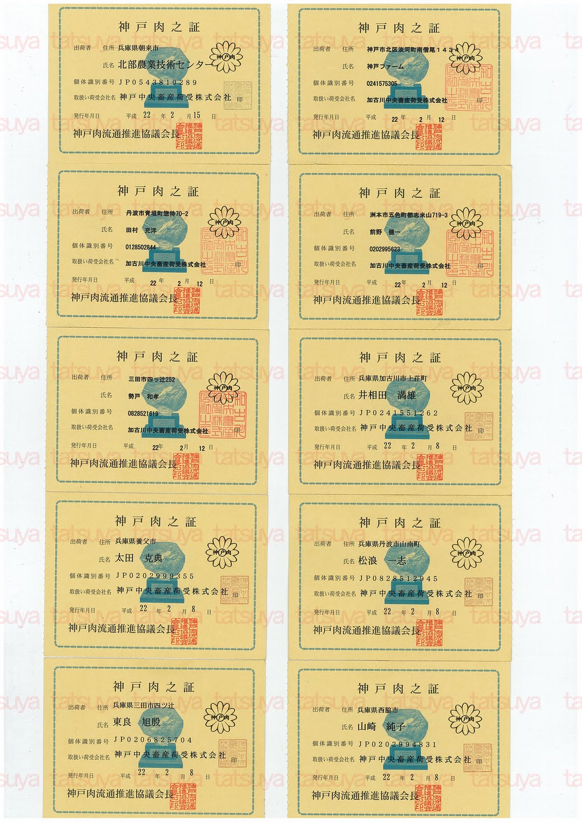 [LOT-10022001-#1.jpg]