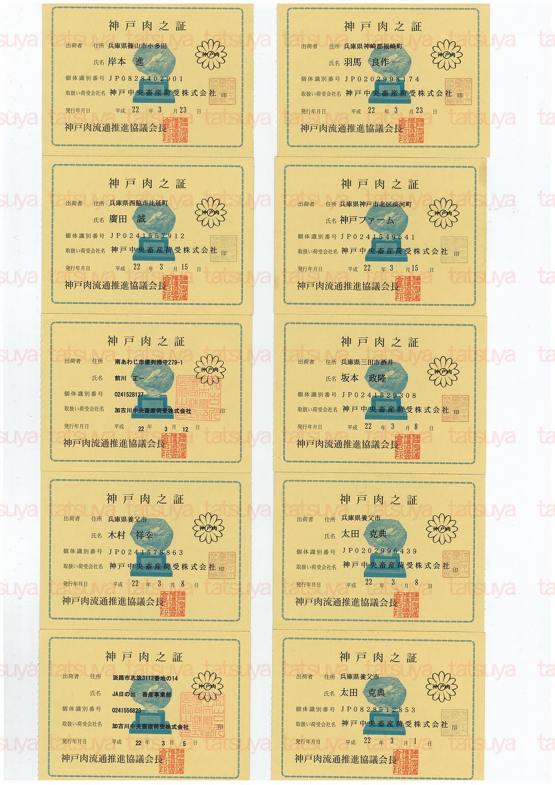 [LOT-10032701-#1.jpg]