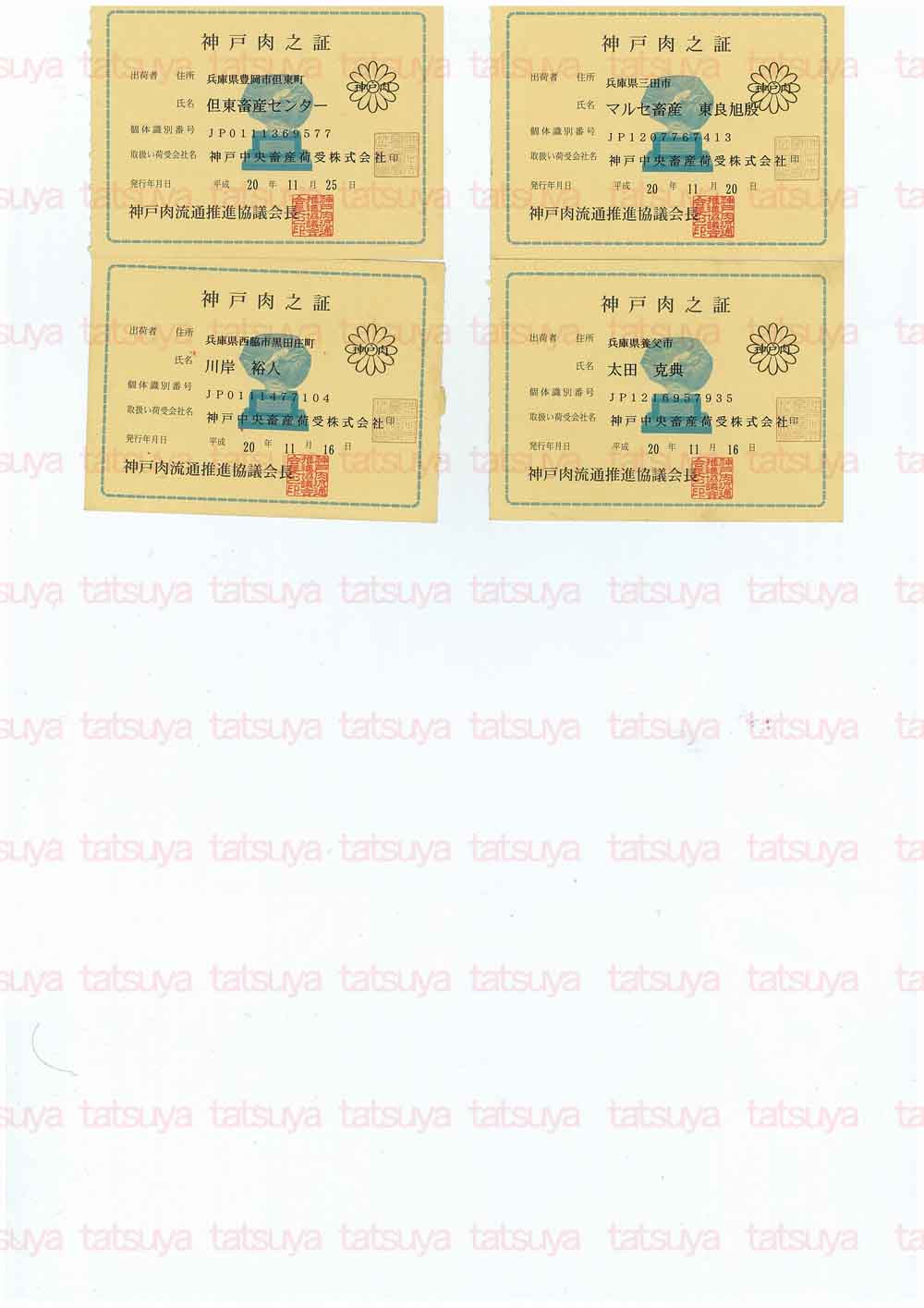 [LOT-08122401-#3.jpg]