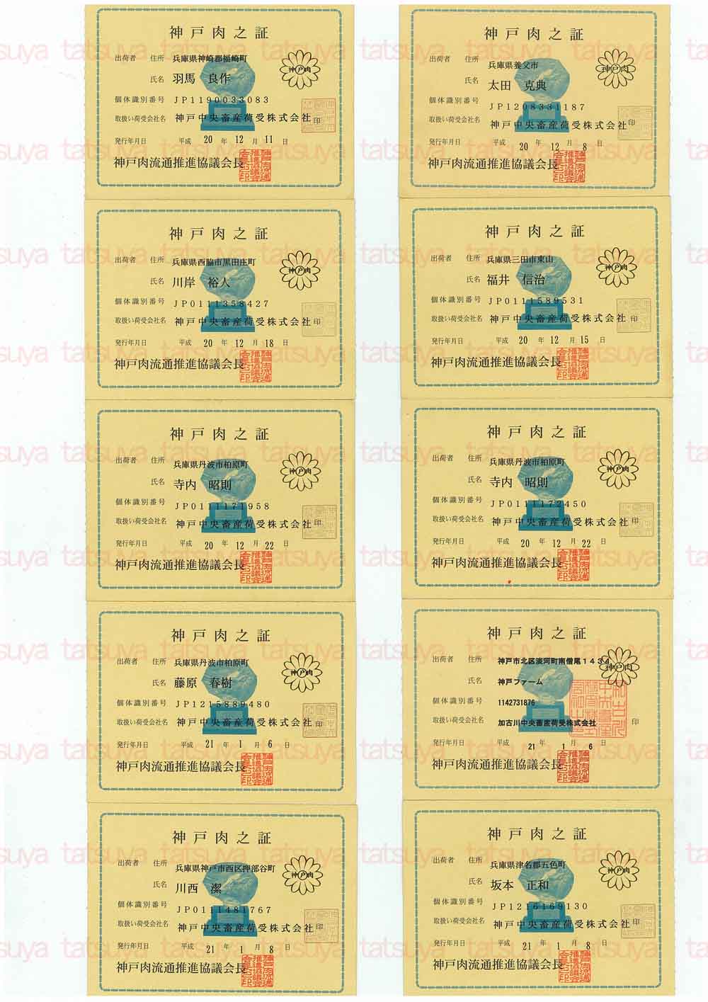 [LOT-09011701-#1.jpg]