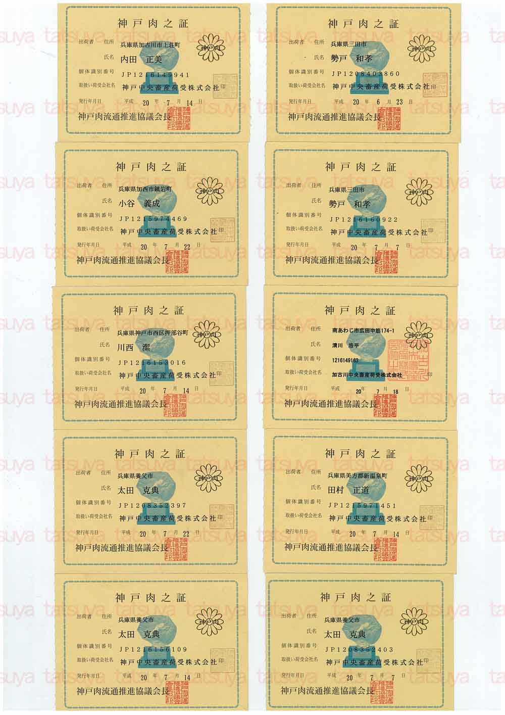 [LOT-08073001-#1.jpg]