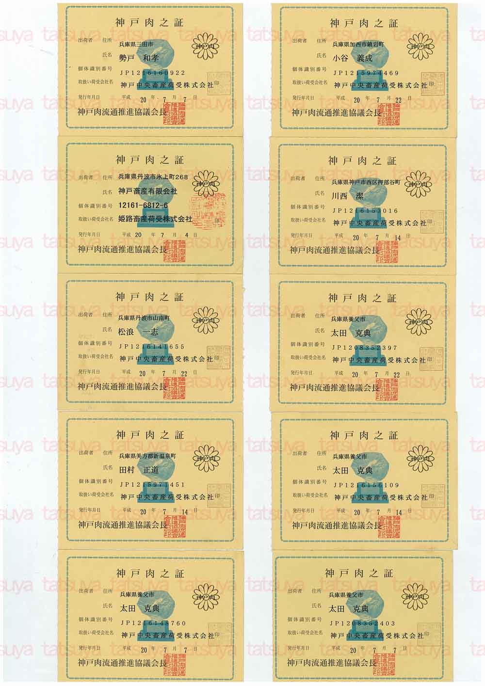 [LOT-08080201-#1.jpg]