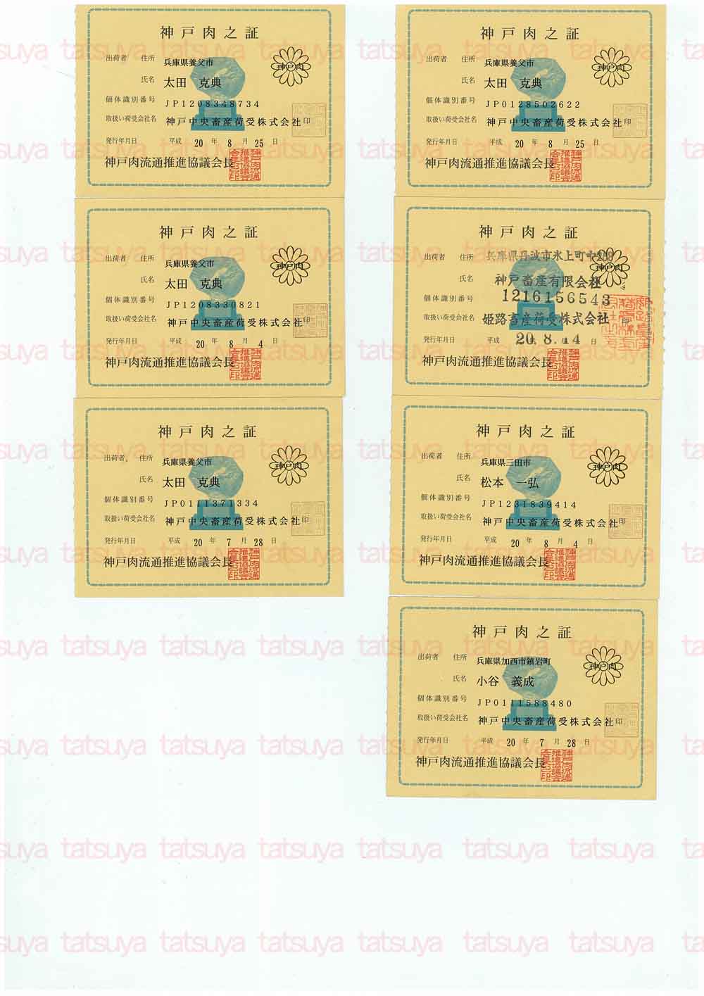 [LOT-08082901-#1.jpg]