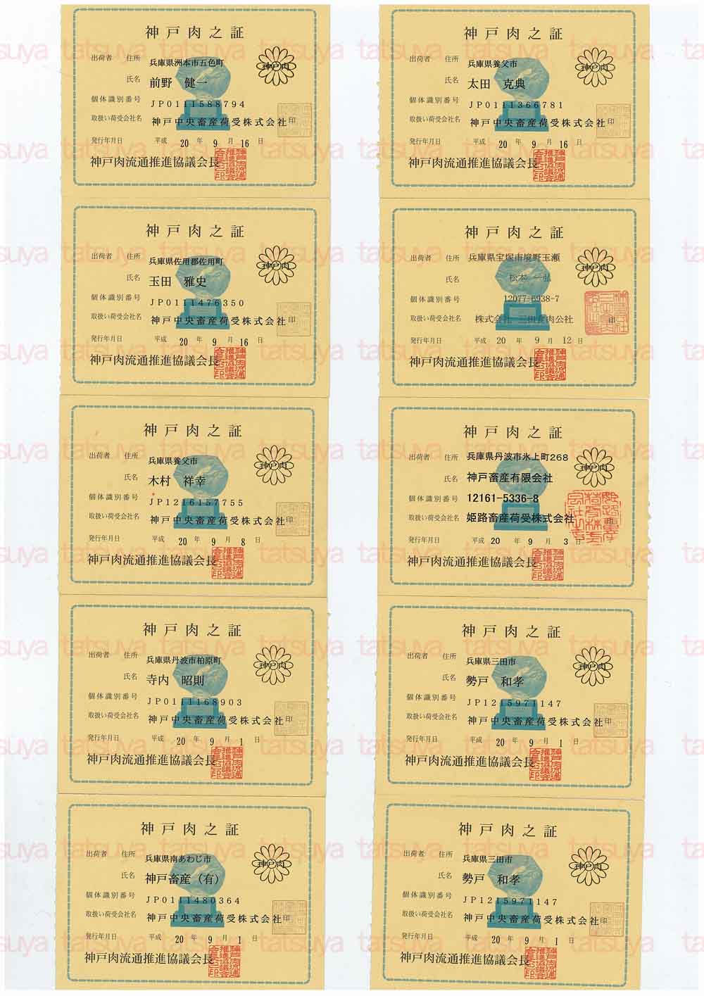 [LOT-08092901-#1.jpg]