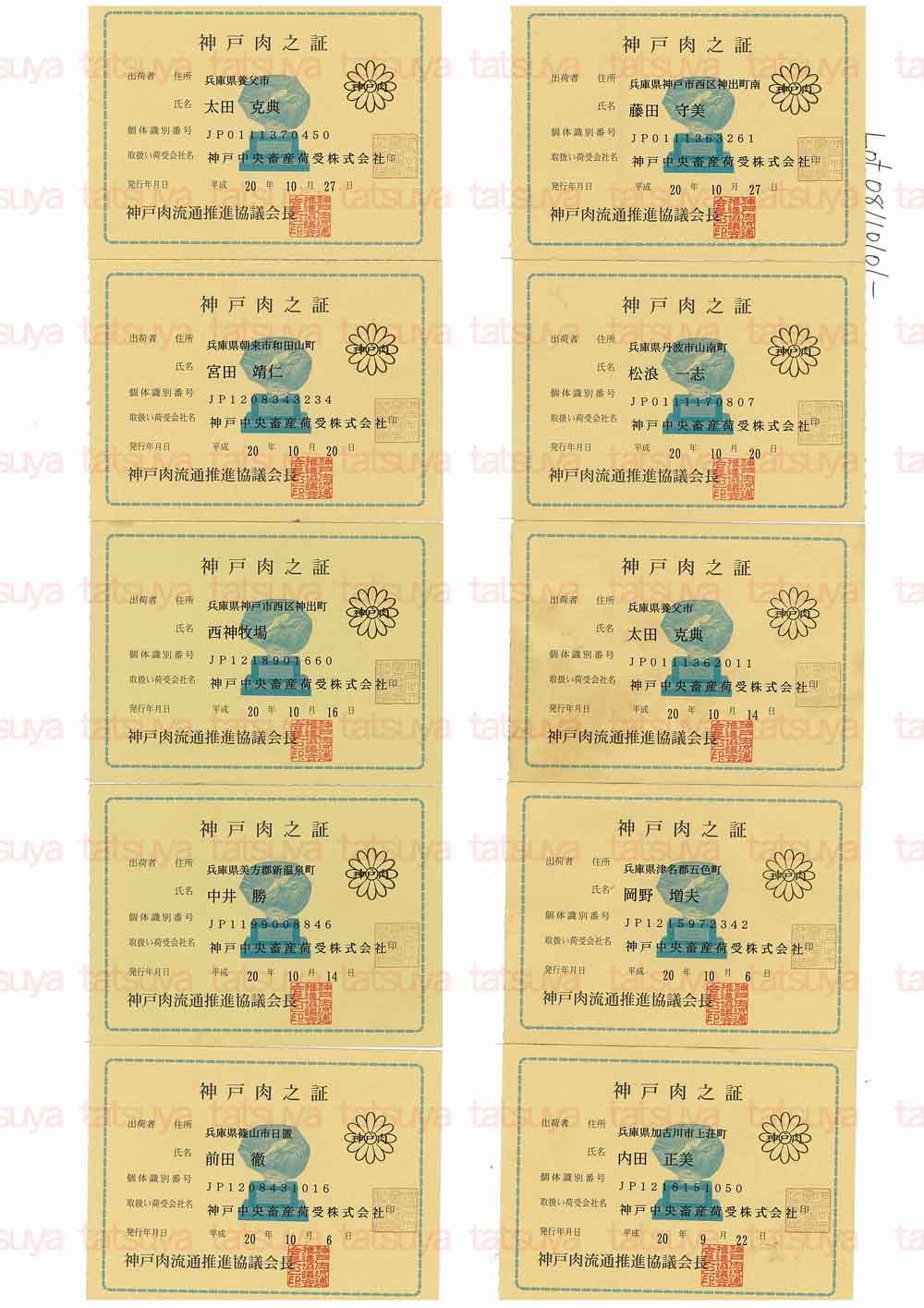 [LOT-08110501-#1.jpg]