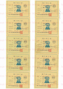 LOT-08110501