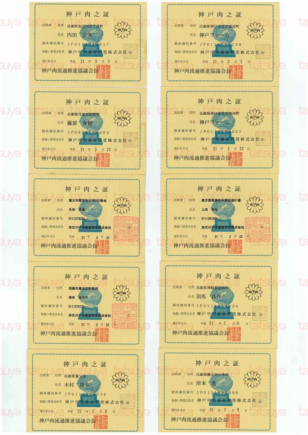 [LOT-09030901-#1.jpg]