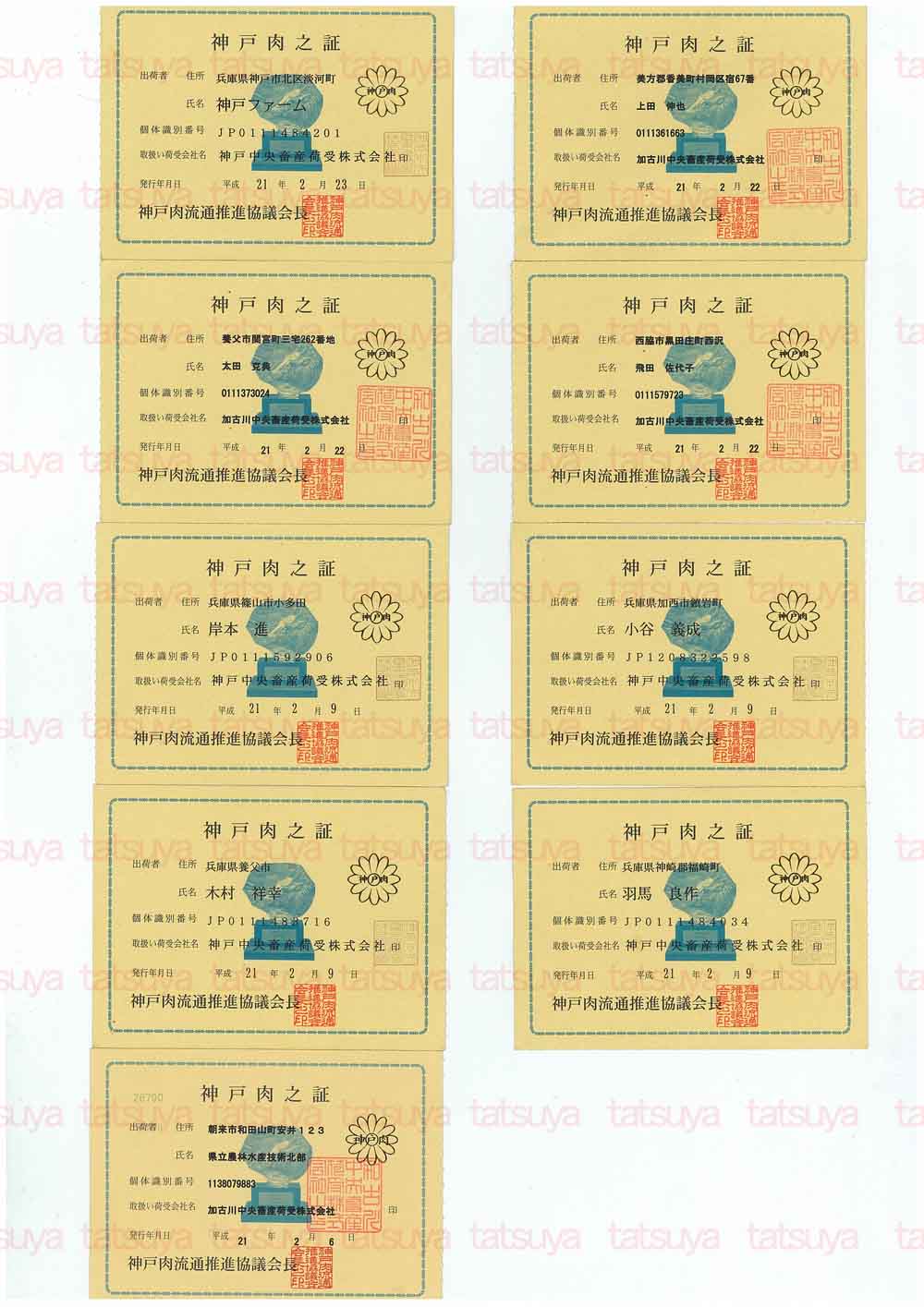 [LOT-09030601-#1.jpg]