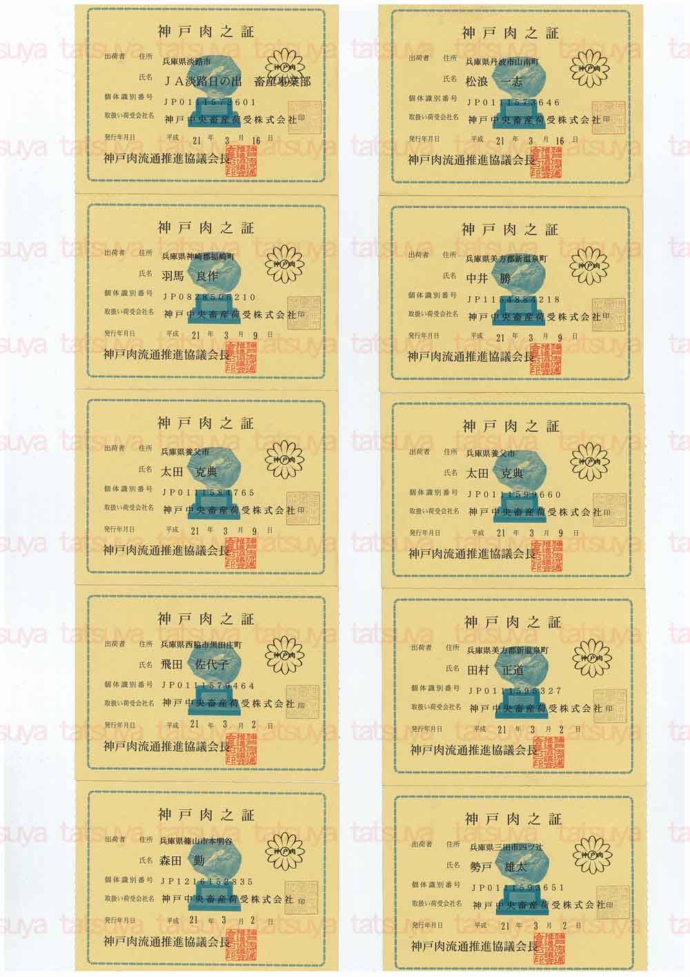 [LOT-09032501-#2.jpg]