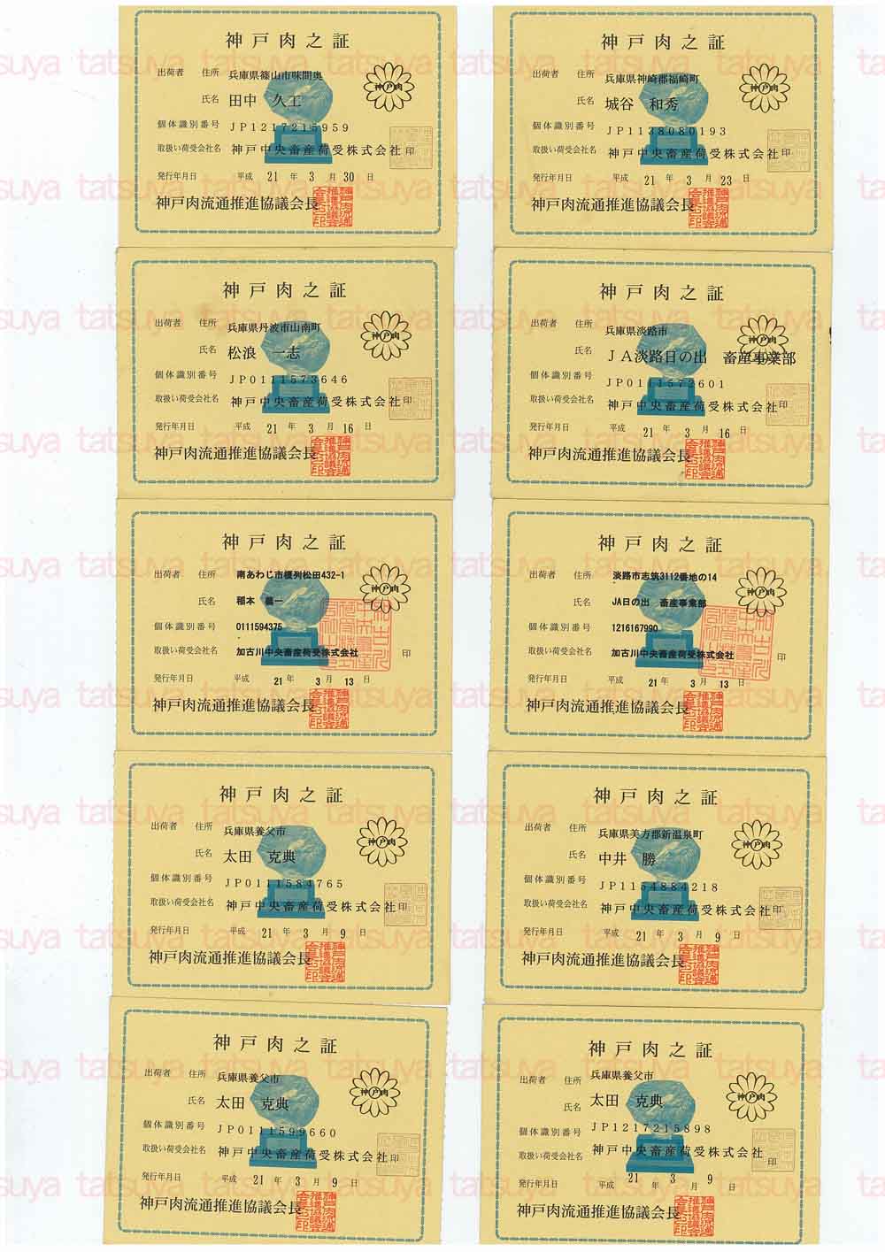 [LOT-09040201-#1.jpg]