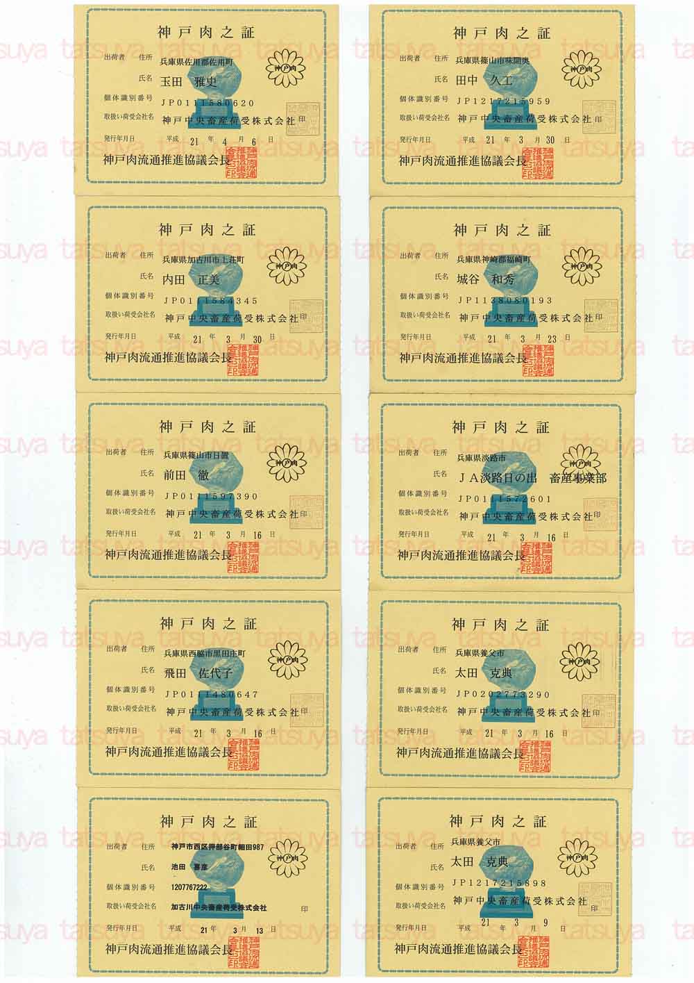 [LOT-09041101-#1.jpg]