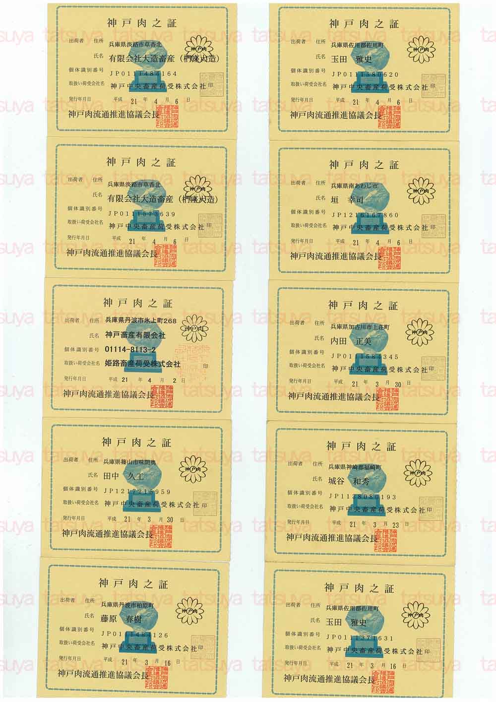 [LOT-09041401-#1.jpg]
