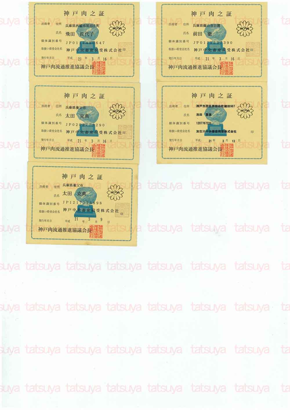 [LOT-09041401-#2.jpg]