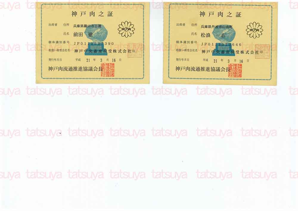 [LOT-09042201-#2.jpg]