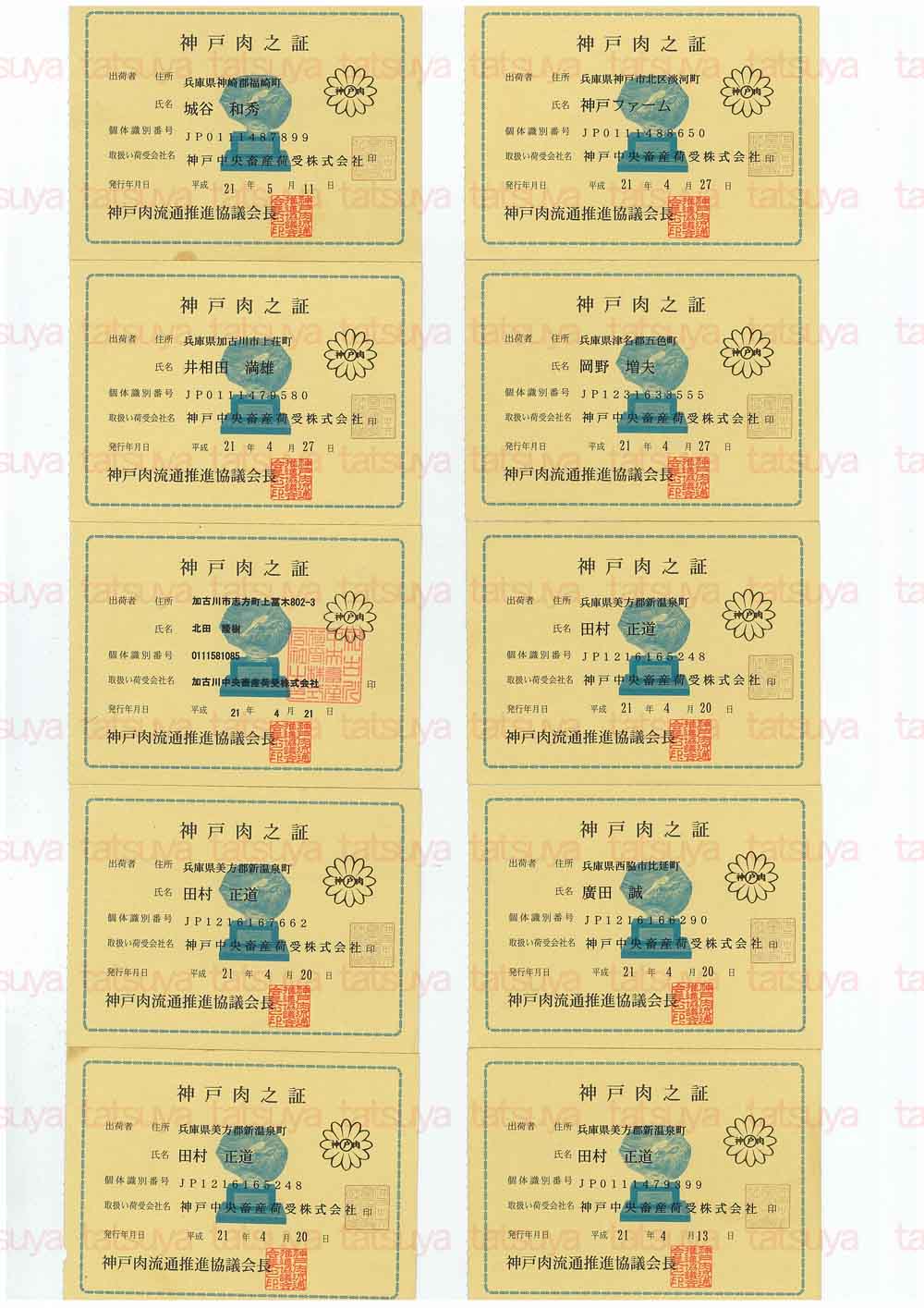 [LOT-09051501-#1.jpg]