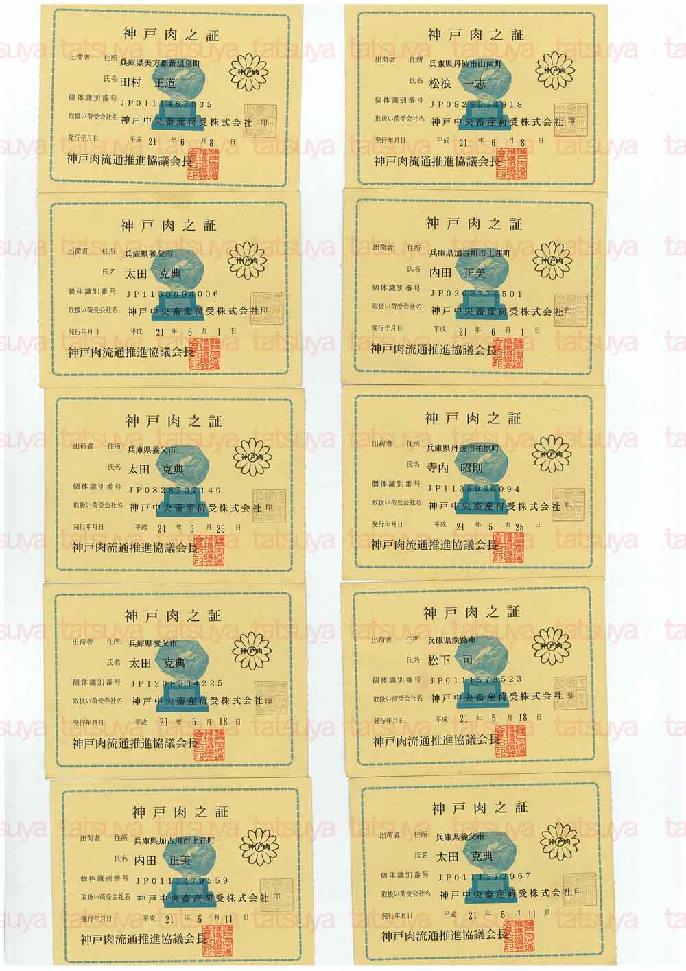 [LOT-09061501-#2.jpg]