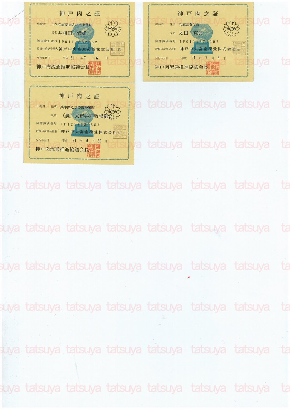 [LOT-09072401-#2.jpg]