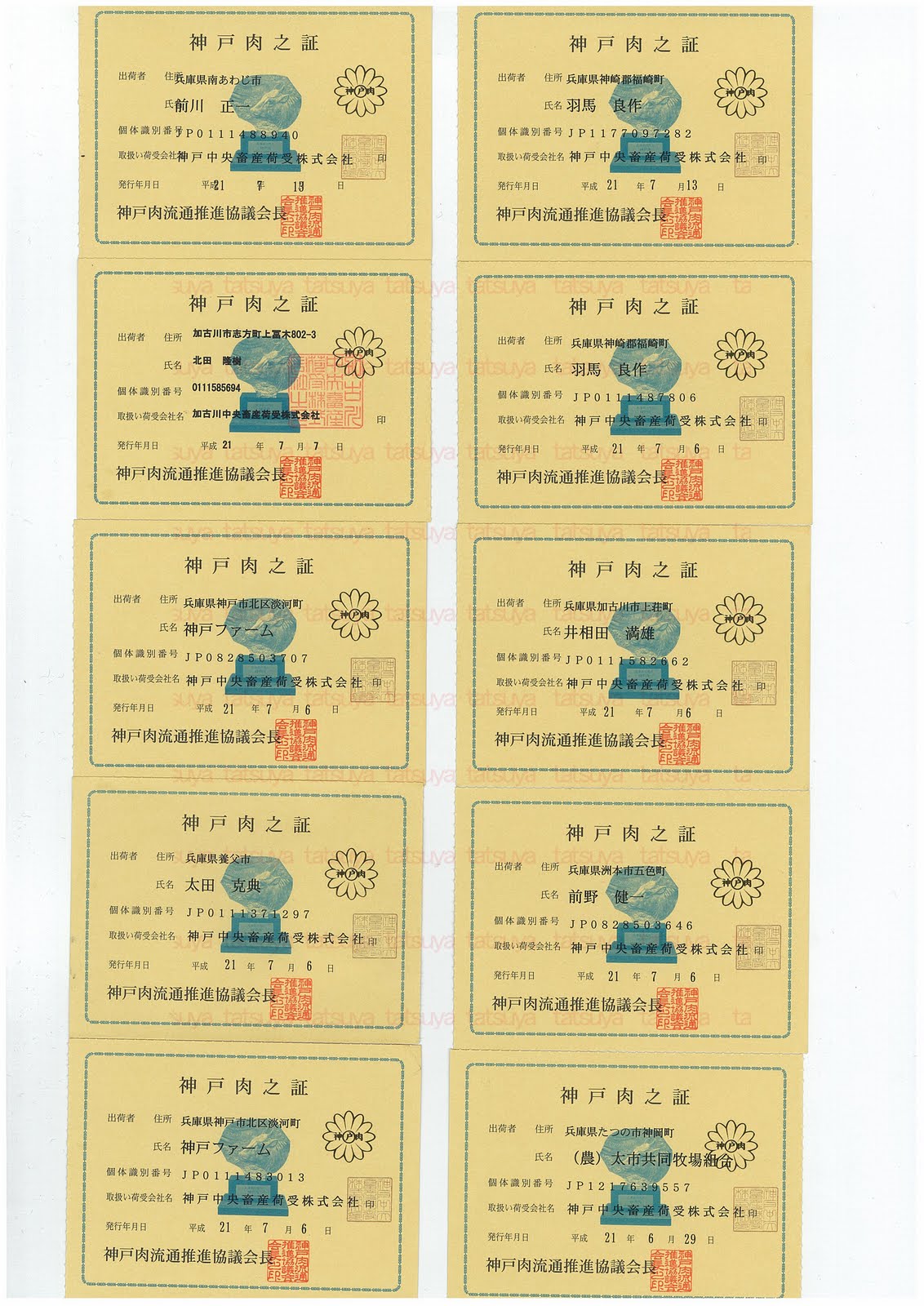 [LOT-09072101-#1.jpg]