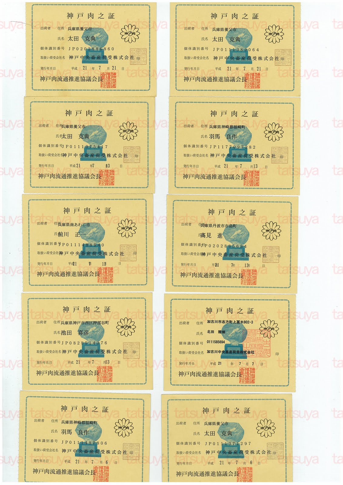 [LOT-09072402-#1.jpg]