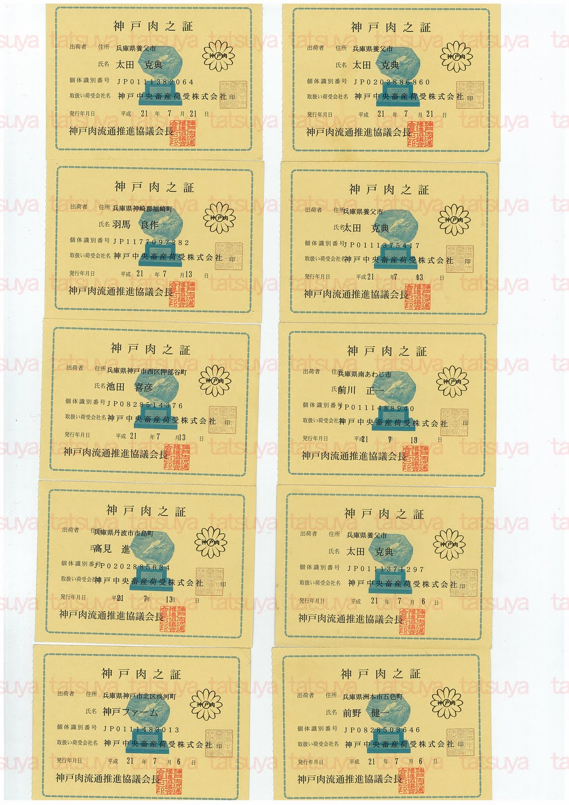 [LOT-09072501-#1.jpg]