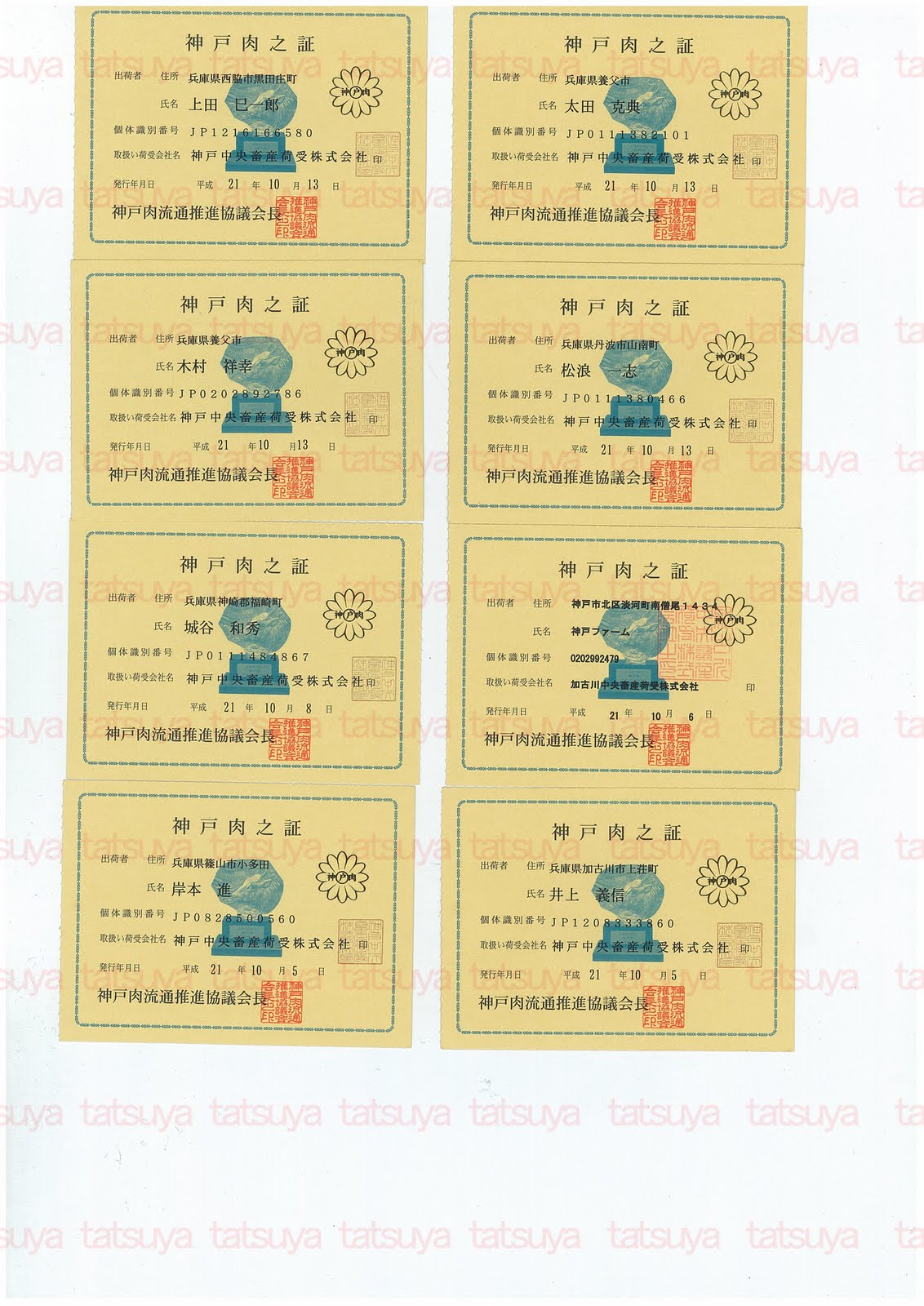 [LOT-09103001-#2.jpg]