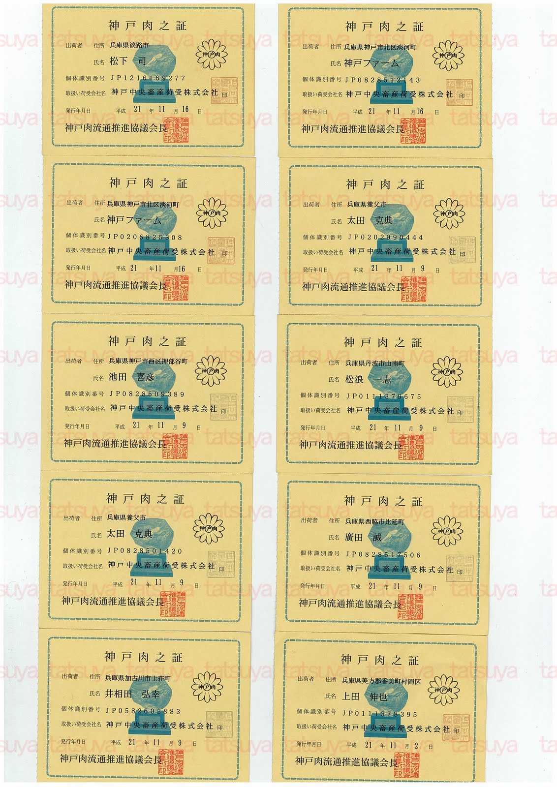 [LOT-09112601-#1.jpg]