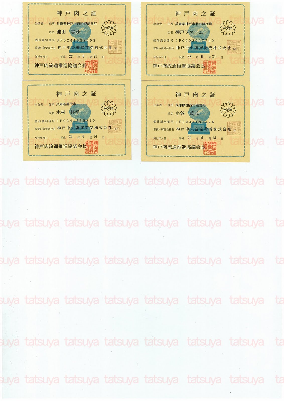 [LOT-10071201-#2.jpg]