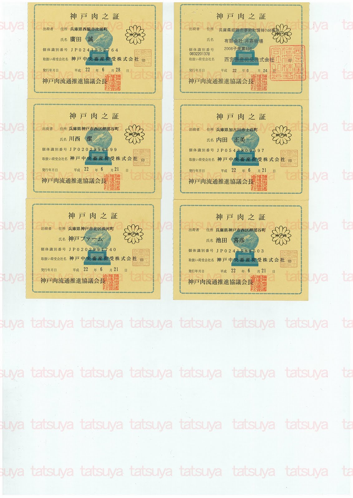 [LOT-10072101-#2.jpg]