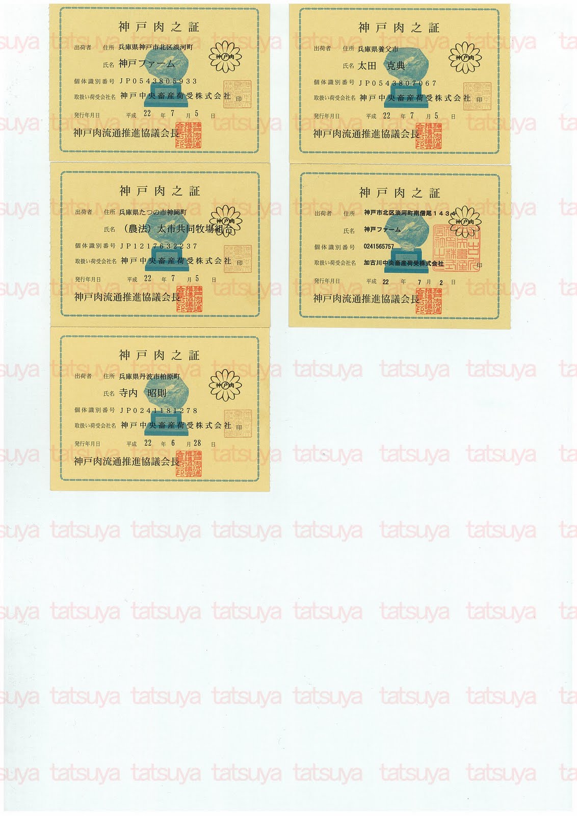 [LOT-10073101-#2.jpg]