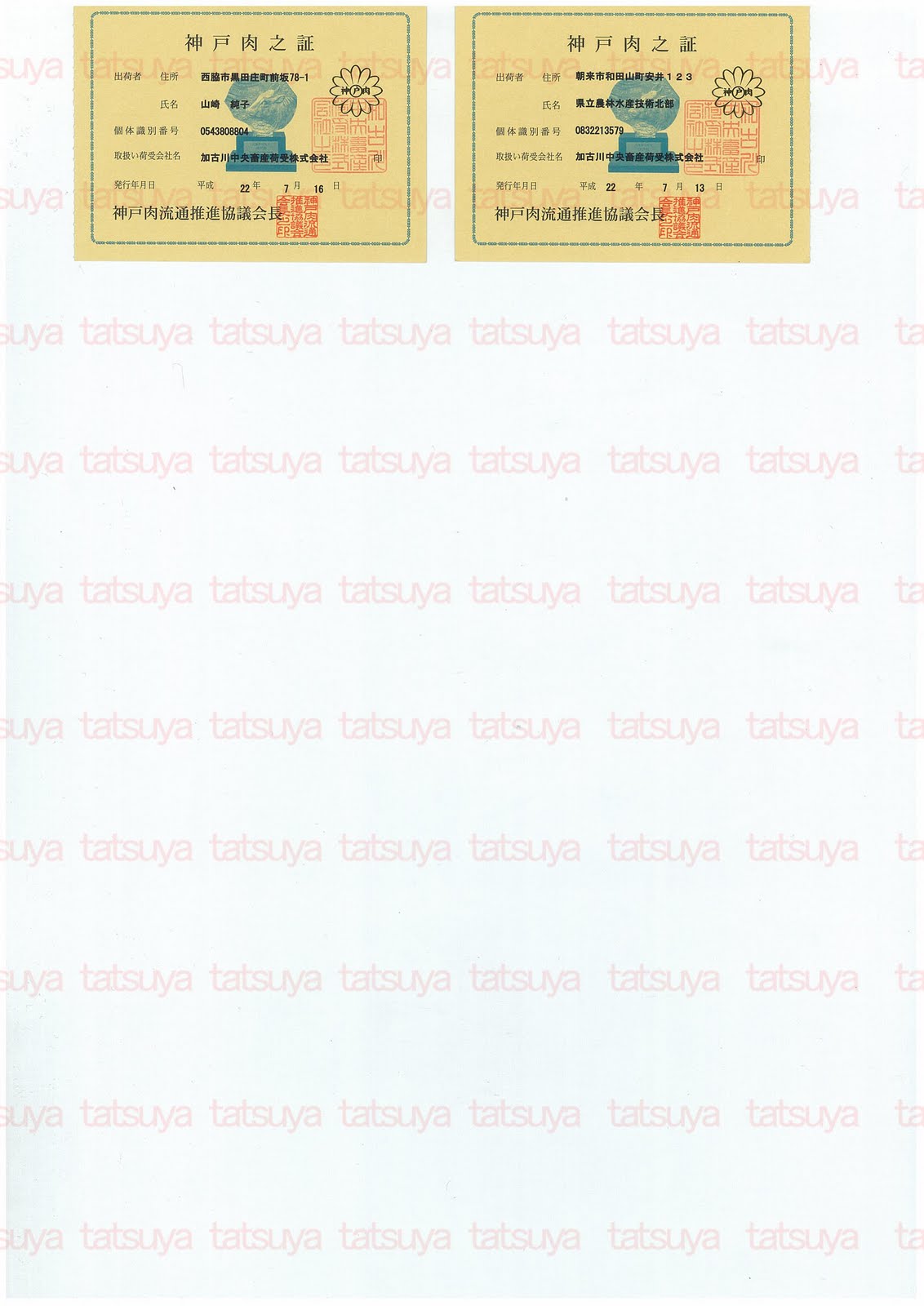 [LOT-10081001-#2.jpg]