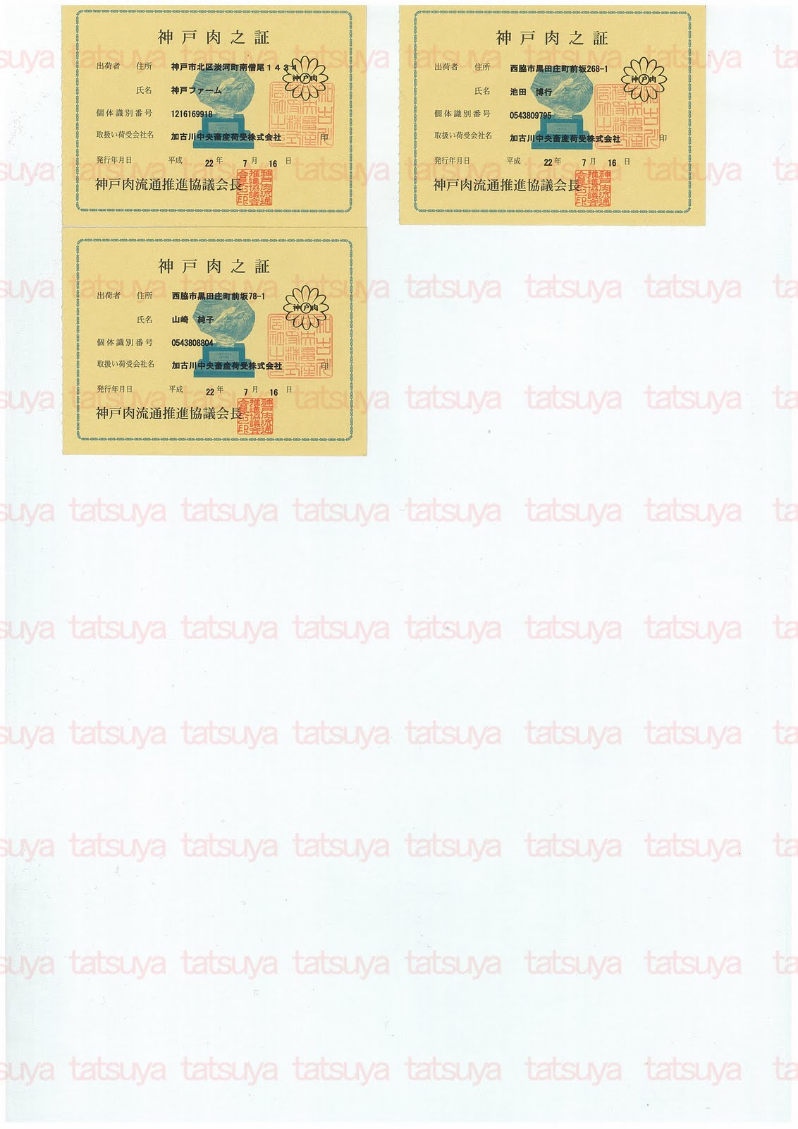 [LOT-10082001-#2.jpg]