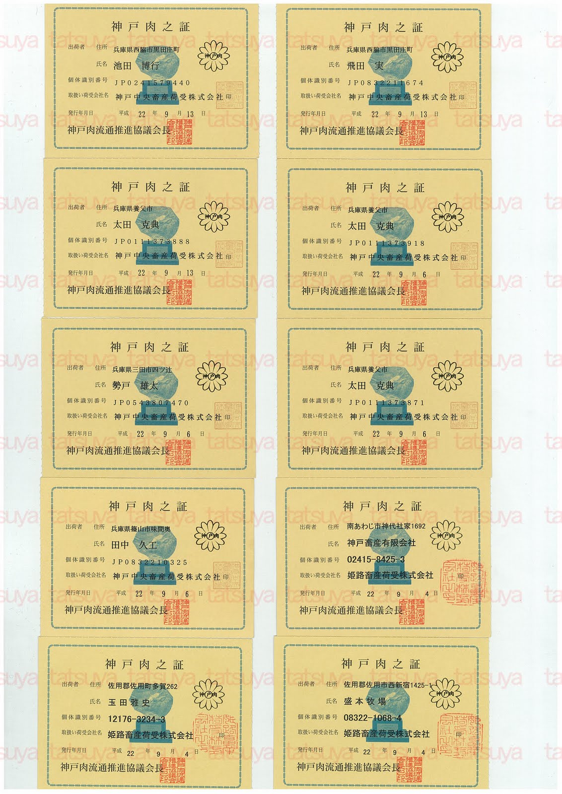 [LOT-10092201-#1.jpg]