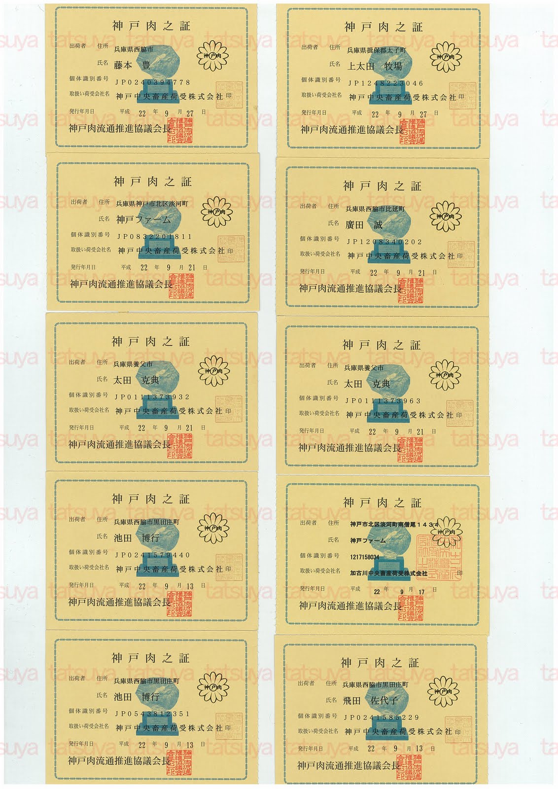 [LOT-10100701-#1.jpg]