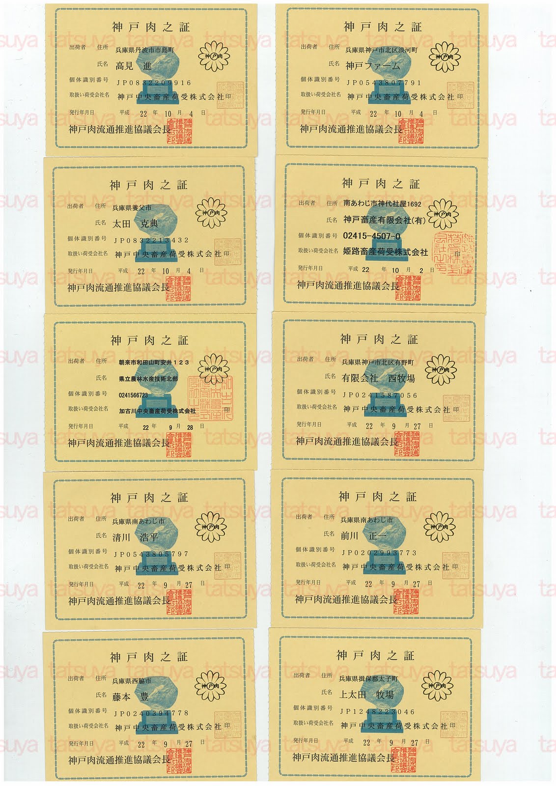[LOT-10101401-#1.jpg]