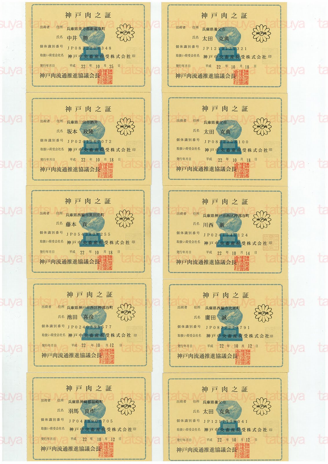 [LOT-10103001-#1.jpg]