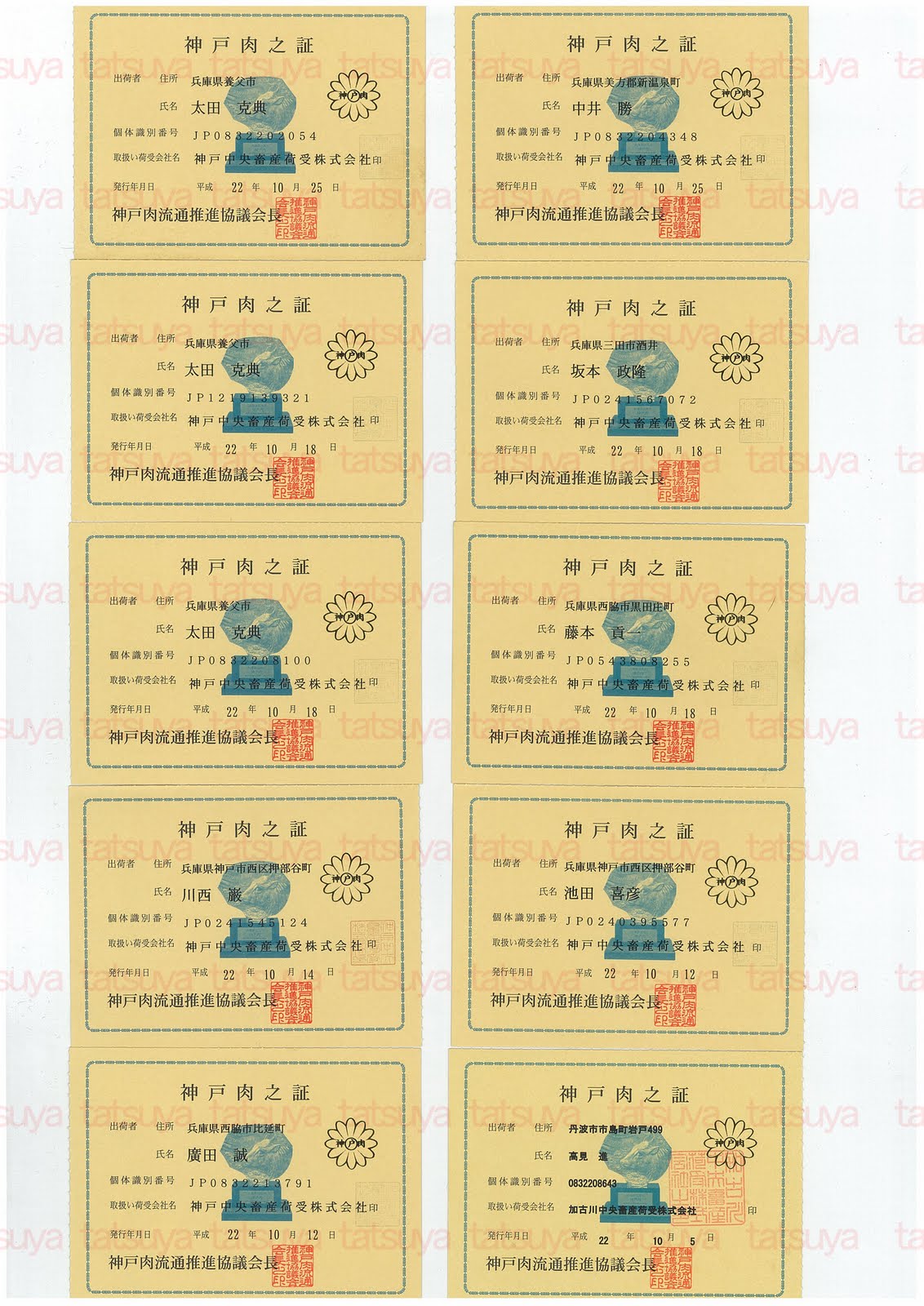 [LOT-10110201-#1.jpg]