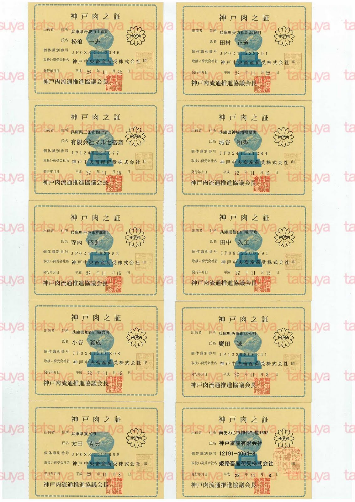 [LOT-10120201-#1.jpg]
