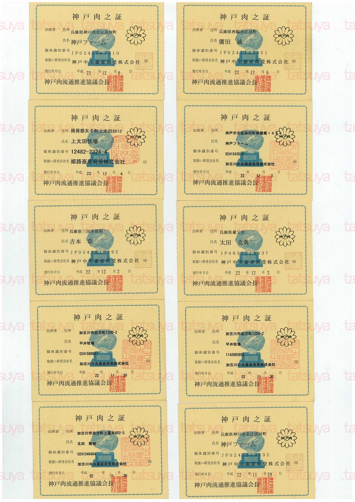 [LOT-10121801-#1.jpg]